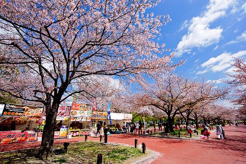 日本自由行攻略关西,不会日语的日本自由行攻略