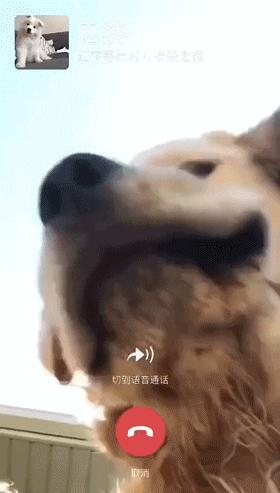 第一次当花童没有什么经验,第一次当花童没什么经验