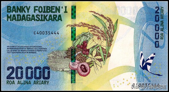 马达加斯加奇葩冷知识,你不知道的国家冷知识摩洛哥