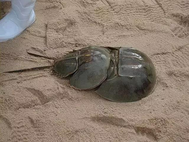 中秋大家回家了吗,中秋都回家了吗