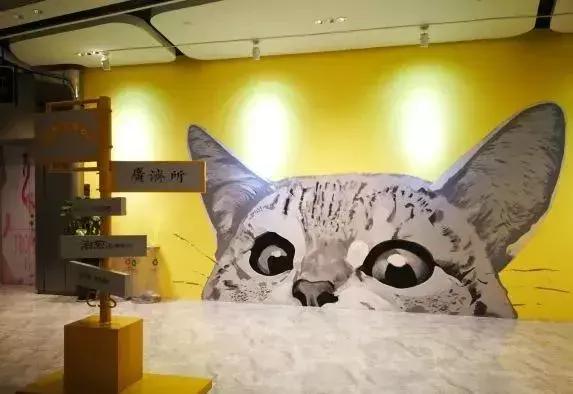 西安打卡景点和网红地,西安最近最火的打卡圣地