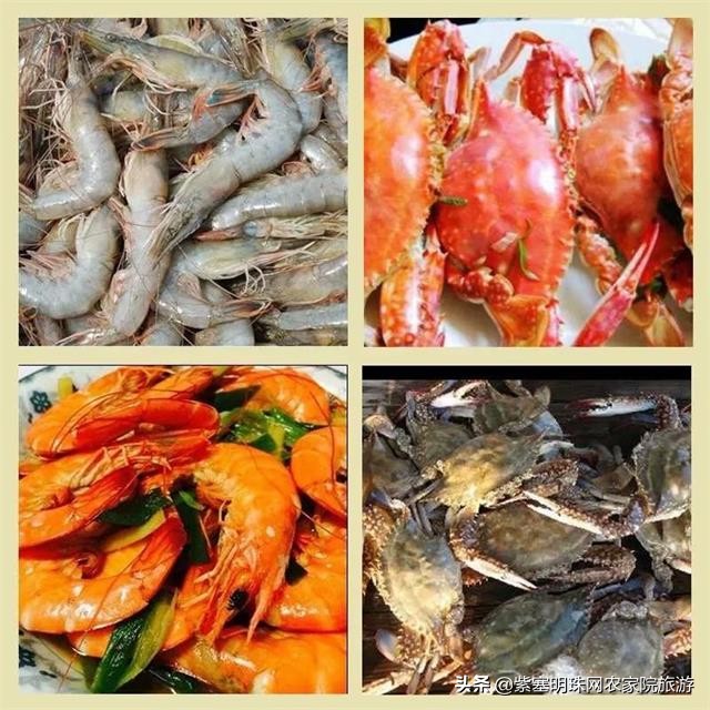 去赶海抓螃蟹海边淋雨捡贝壳,来海边抓螃蟹拾贝壳