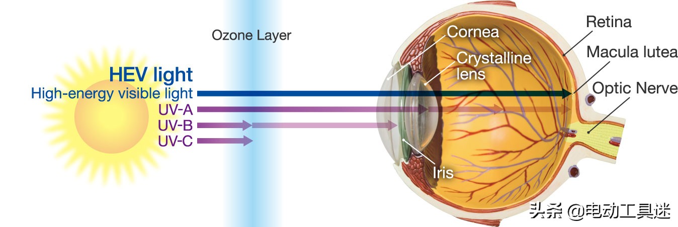 科普光线对眼睛到底有多重要,解析蓝光对人体的危害