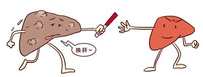 肝上有小水泡忌什么食物,肝上长水泡中药能治好吗