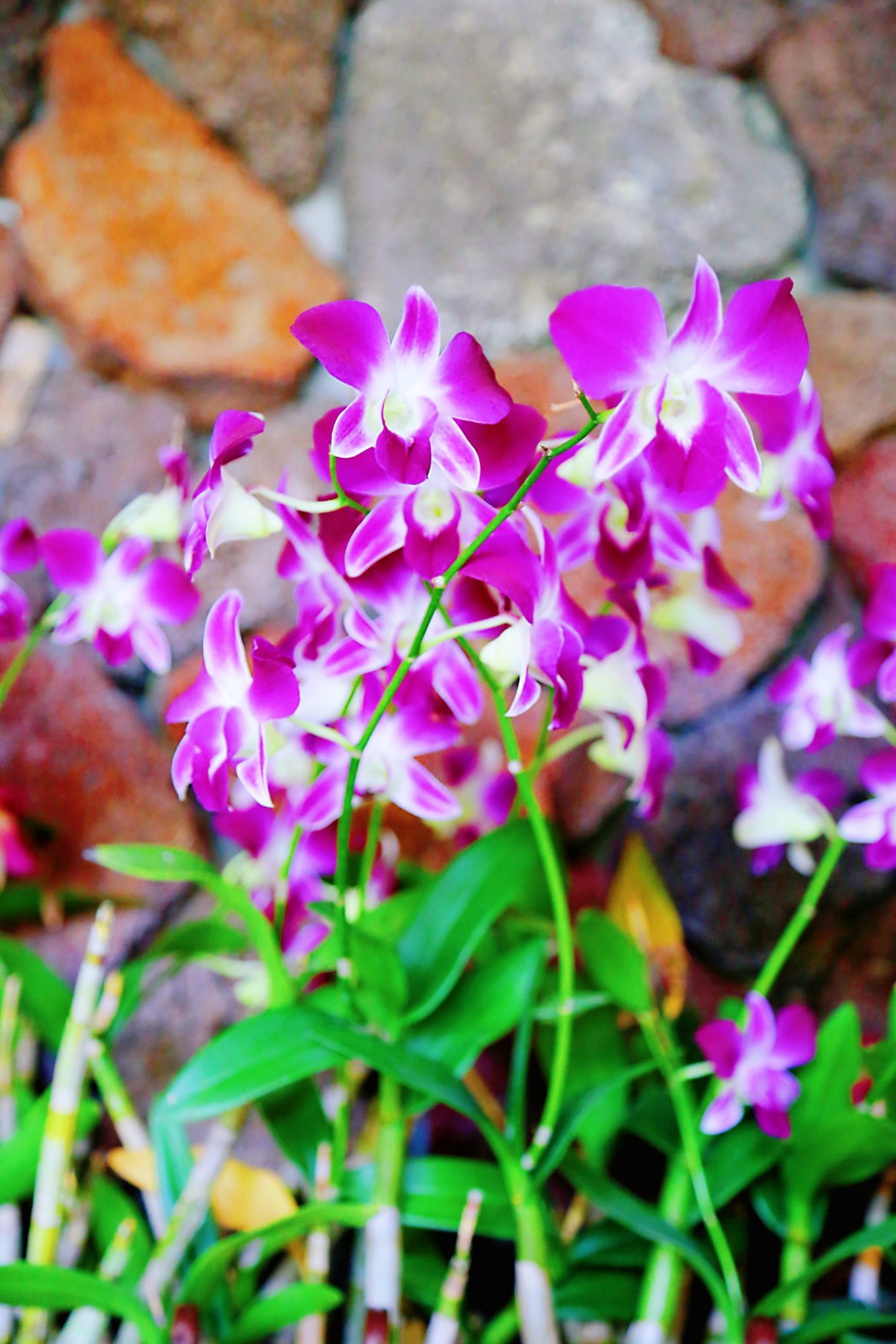 三亚自由行5天4晚亲子游攻略,寒假三亚5天4晚3人亲子游团购