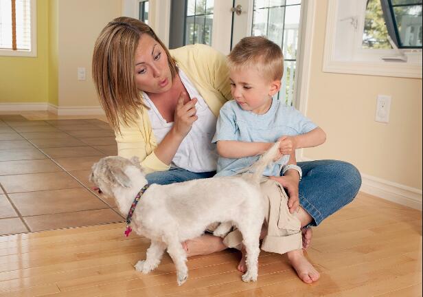 “独家”撸狗真经，你还不学上两招吗？宠主：我都会