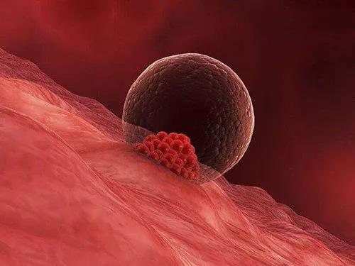 疫情下的情人节你选择怎么过,疫情期间的情人节