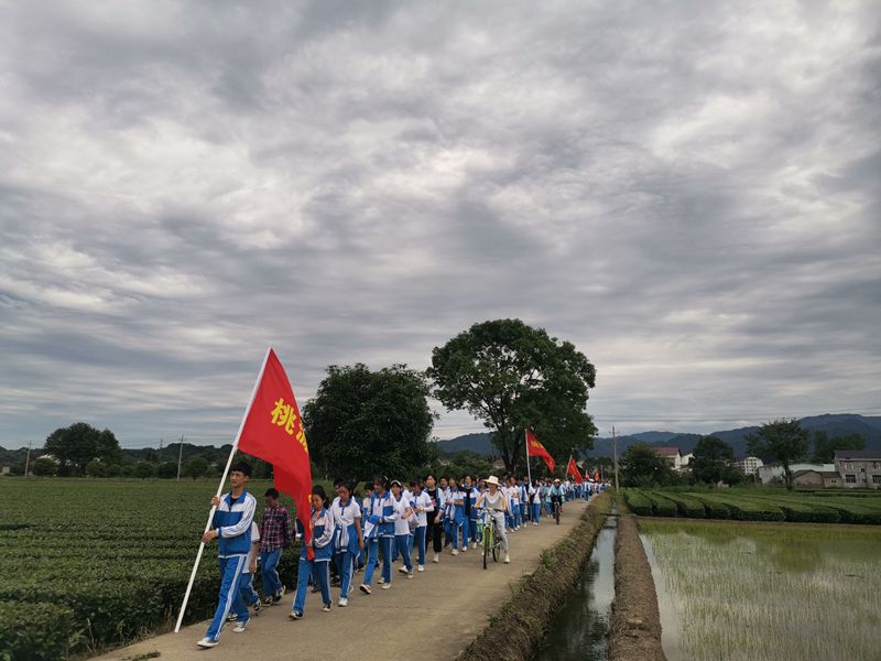 桃源七中茶文化,桃源七中新校区