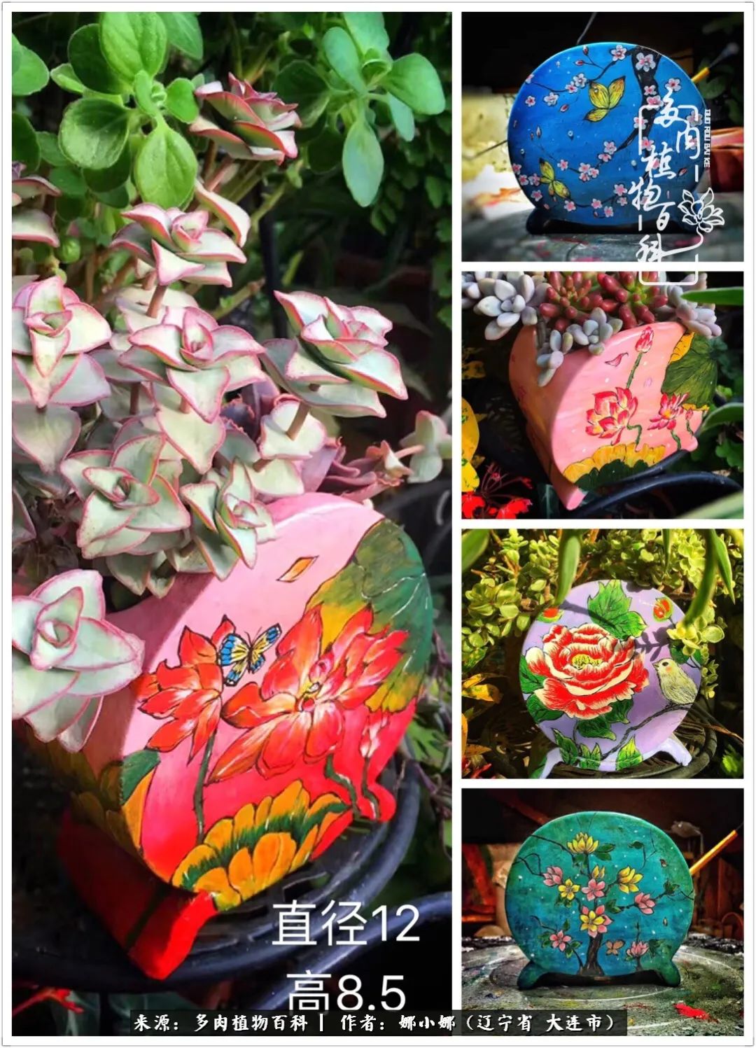 你是盆我是花，你护我周全，我为你绽放