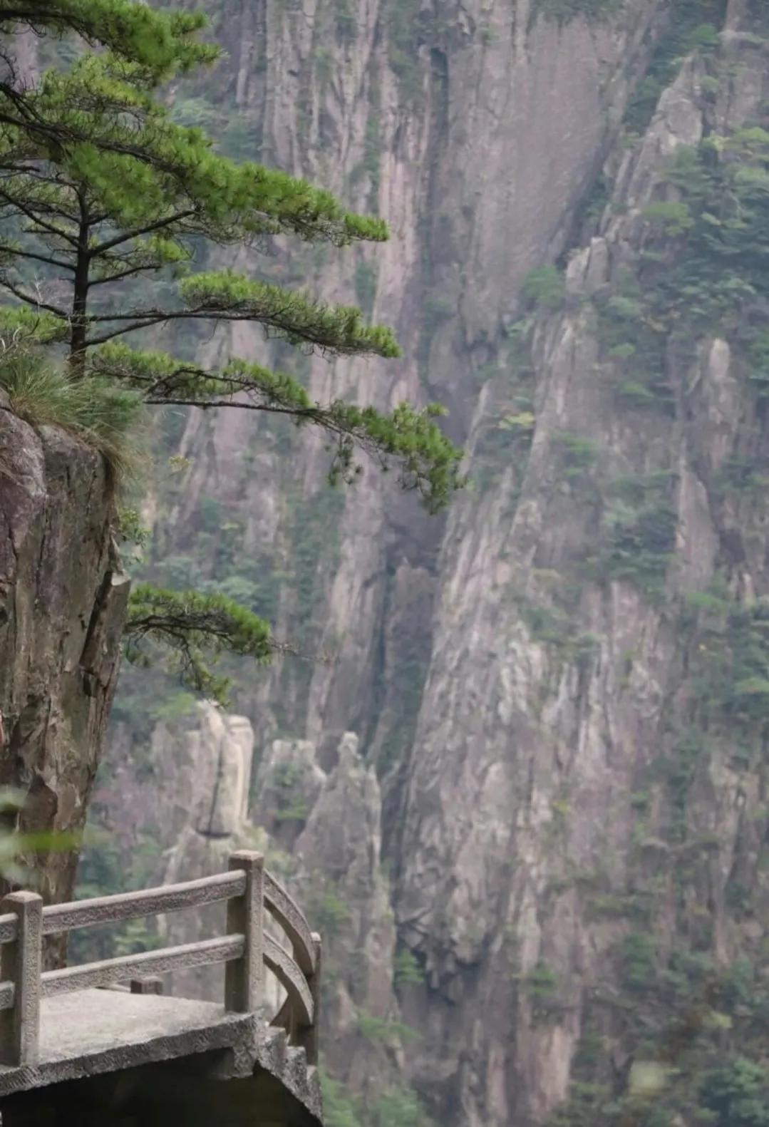 涓嶅埌闀垮煄闈炲ソ姹変笉鐧讳笢灞辨尯閬楁喚,涓嶅埌闀垮煄闈炲ソ姹変笉鐧绘嘲灞辨槸閬楁喚