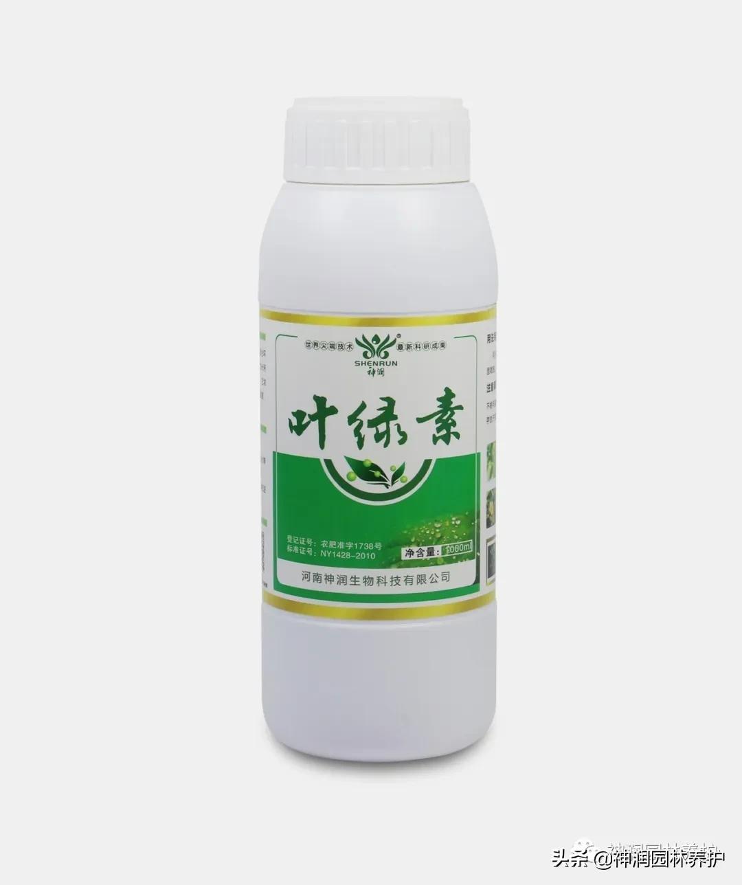 园林病害预警｜高温天气草坪病害的发生与防治