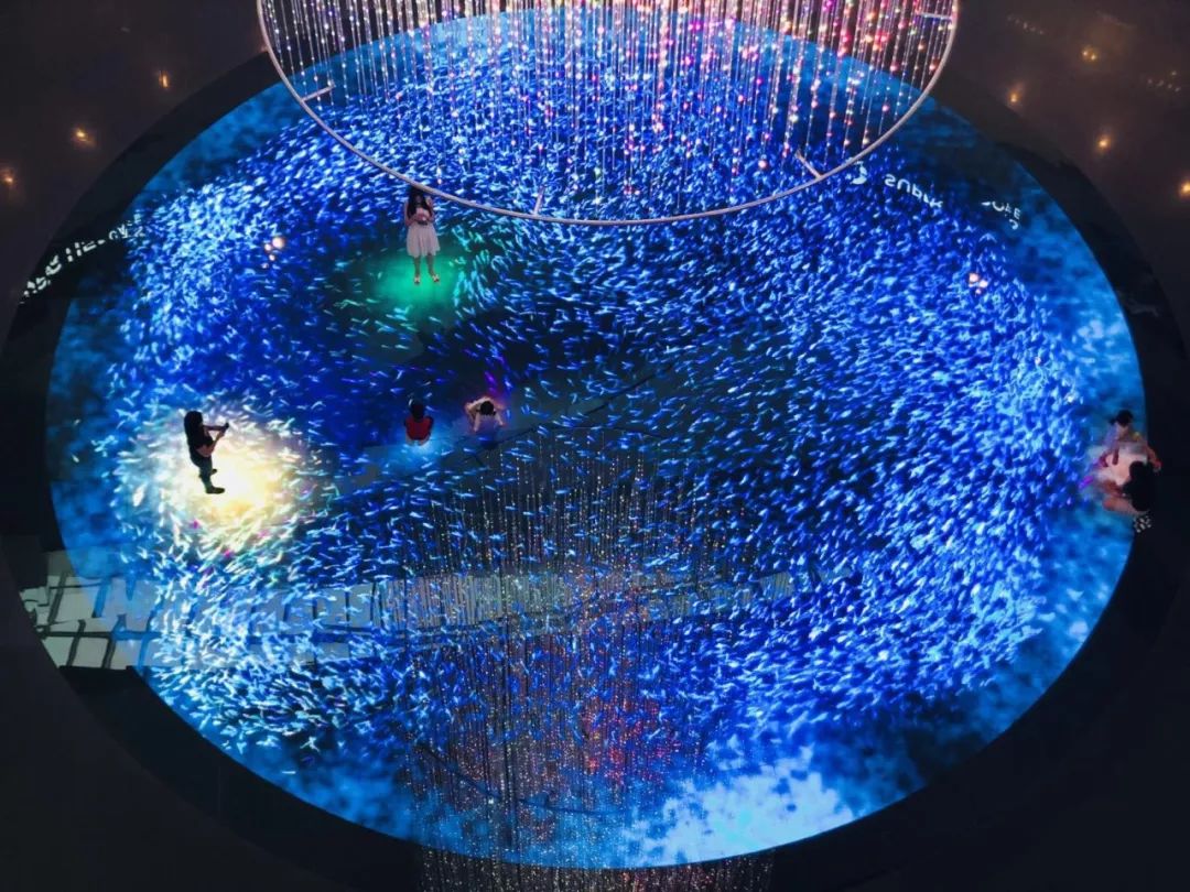 新加坡sundown夜间马拉松,新加坡日落马拉松终点