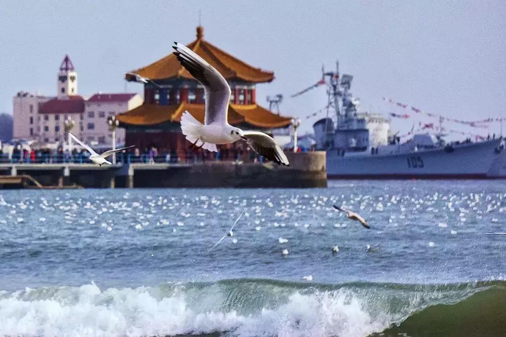 摄影点评（熊猫上班）