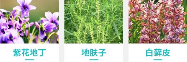 湿疹性皮炎最简单的自愈方法,全身都痒皮炎湿疹最好的治疗方法