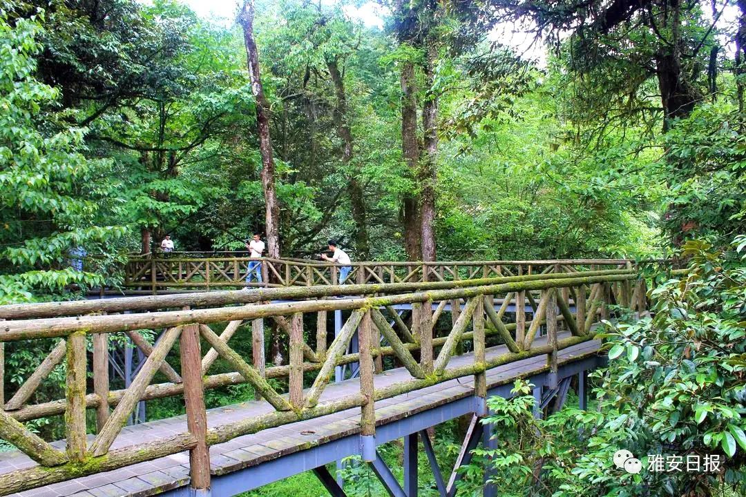 来雅安旅游,雅安二郎山休闲特色民宿