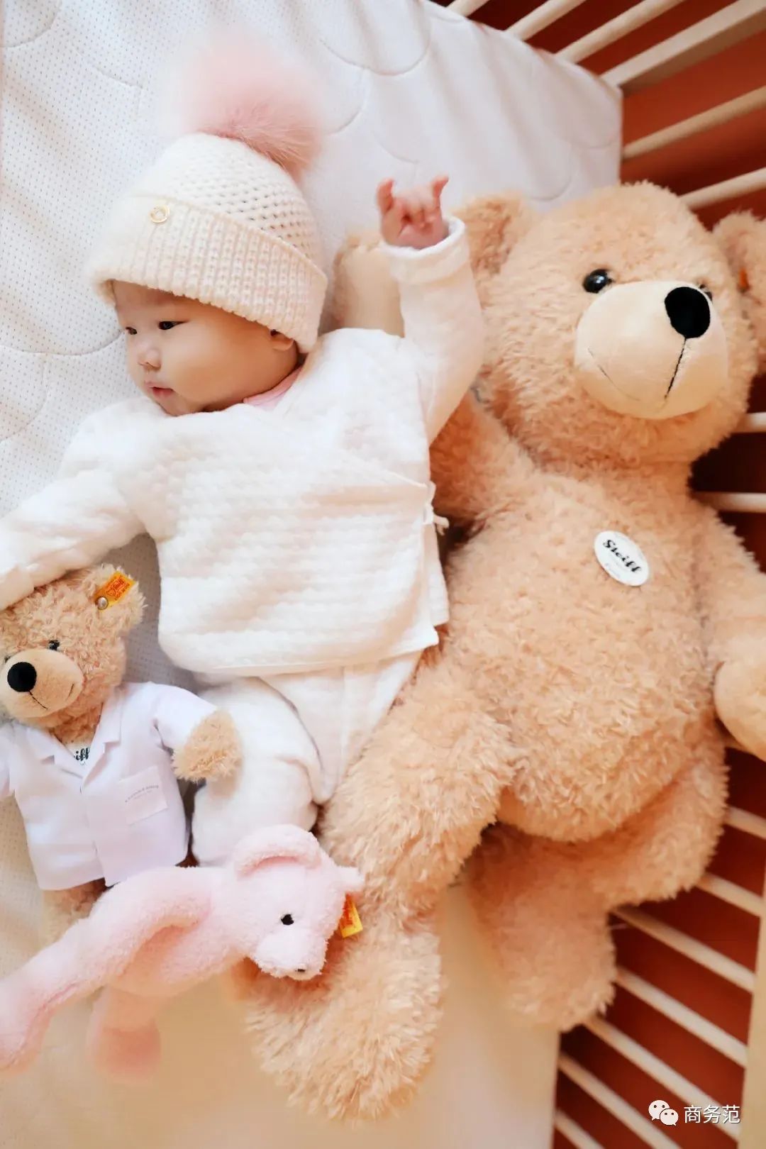 家具好物推荐排行第一名,最值得入手的10件家具好物