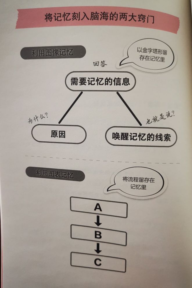 跟着老师学做学霸笔记,跟着记忆大师学习高效背诵的秘诀
