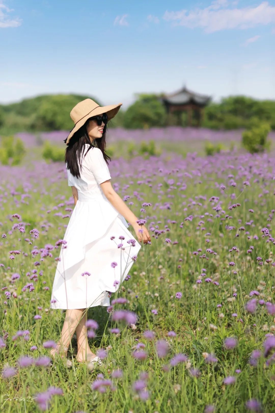 娌欏娴滈鏅尯鑺辨捣,娌欏娴滅殑绱壊鑺辨捣