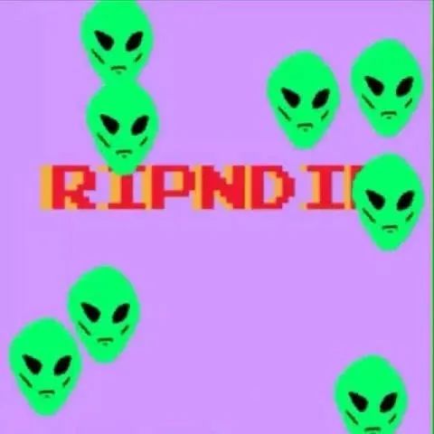 *戏调**Supreme的贱贱白猫RIPNDIP