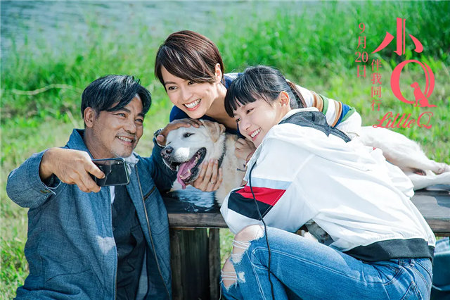 你有被人坚定的选择过吗原视频,你有被人坚定的选择过吗