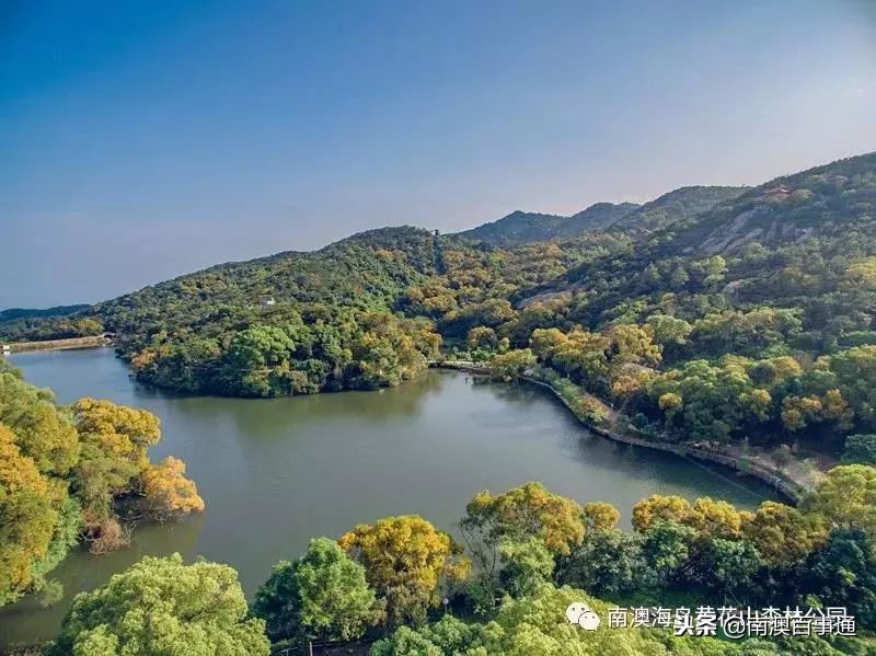 登上山顶鸟瞰全景,汕头濠江山顶看海
