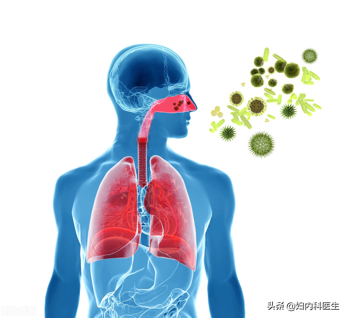 警惕:头孢拉定不是强效的消炎药,用对是个宝,用错是害人的药