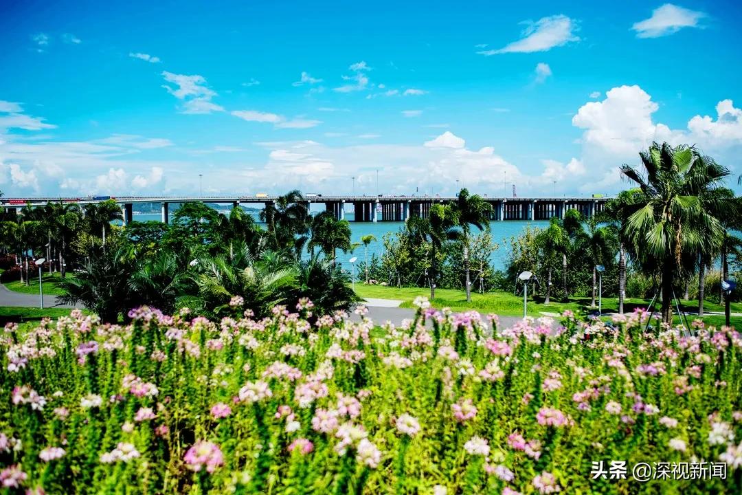 这里是幸福的家乡视频,这里是幸福拉萨