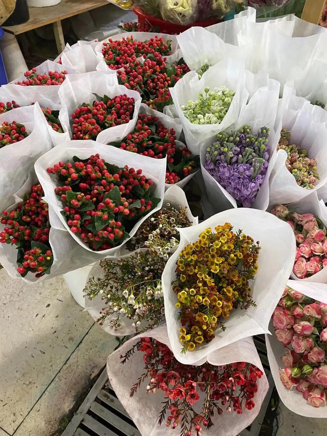 实拍青岛花卉市场！你每年都会选购哪些品种的年宵花呢？