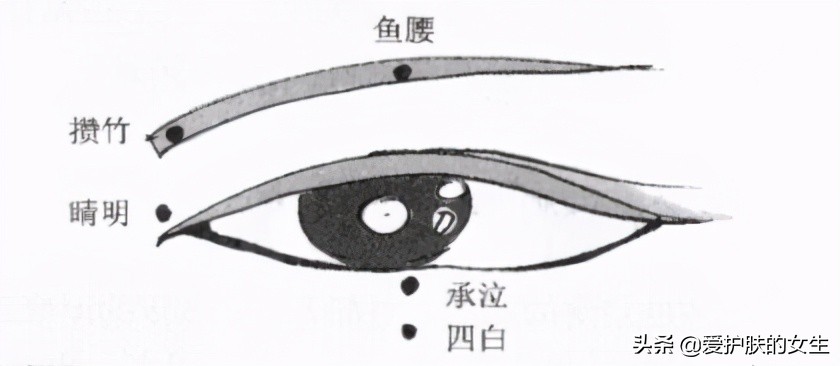 金鱼眼不开花咋办,金鱼眼怎么预防