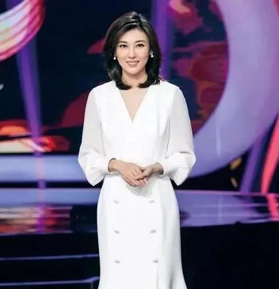 我最喜欢的节目主持人,央视主持人排名前十名都有谁