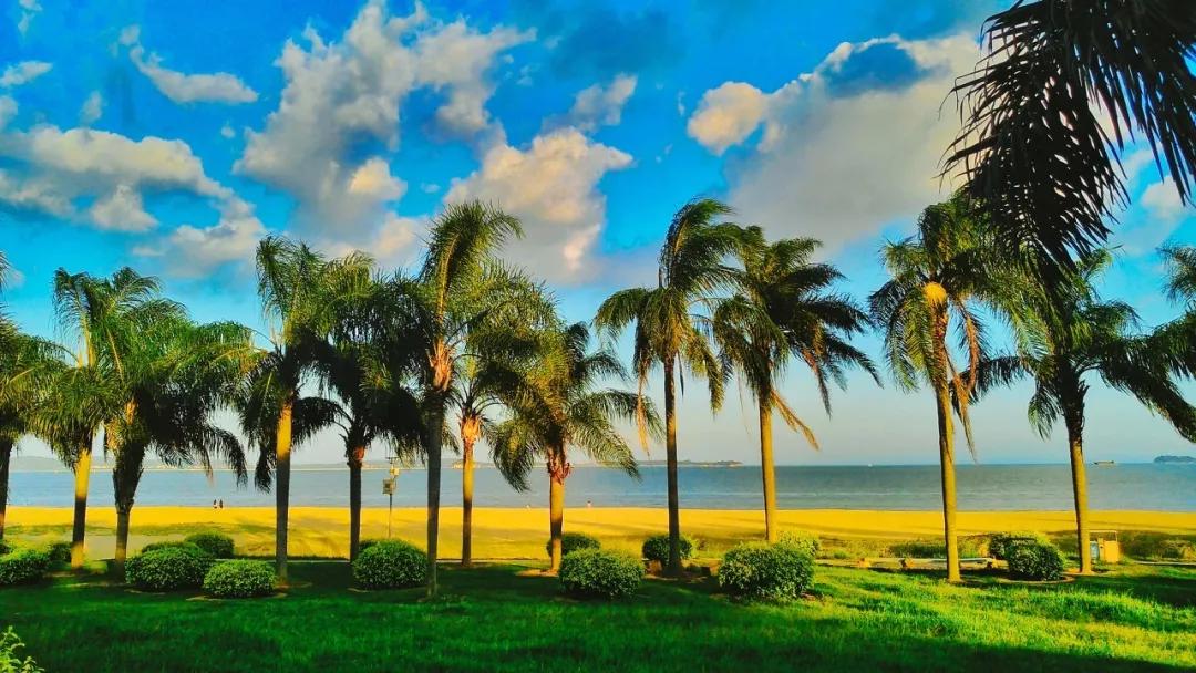 厦门海岸线咖啡网红打卡地地址,厦门观音山网红打卡地