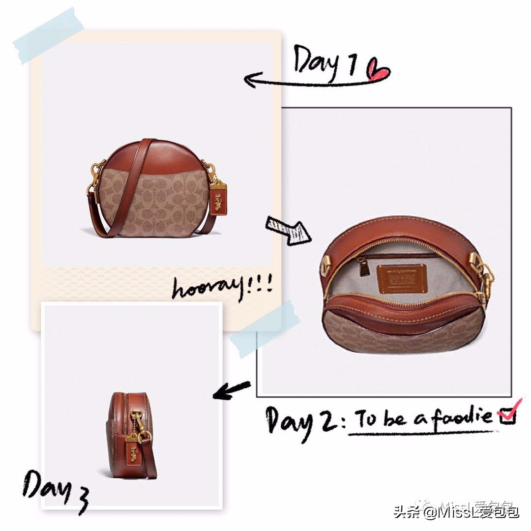 coach包包推荐网红款2022年新款,coach包包必买经典款2023