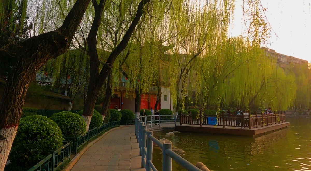 西安莲湖公园要门票吗,西安莲湖公园历史