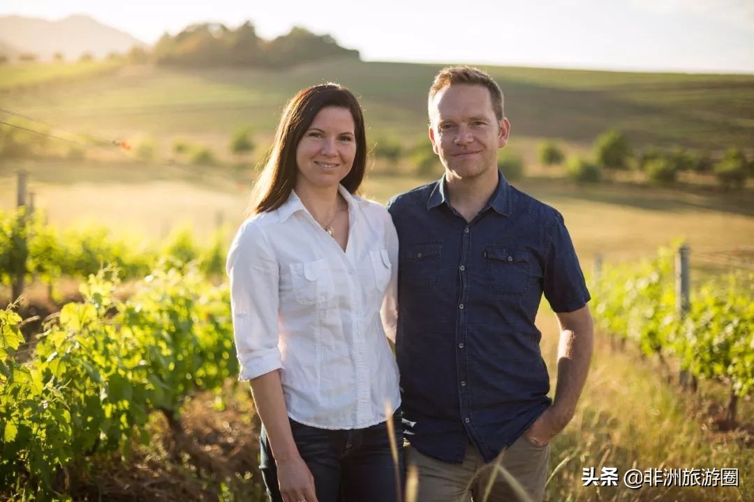 南非有什么葡萄酒好喝又便宜,南非葡萄酒品种