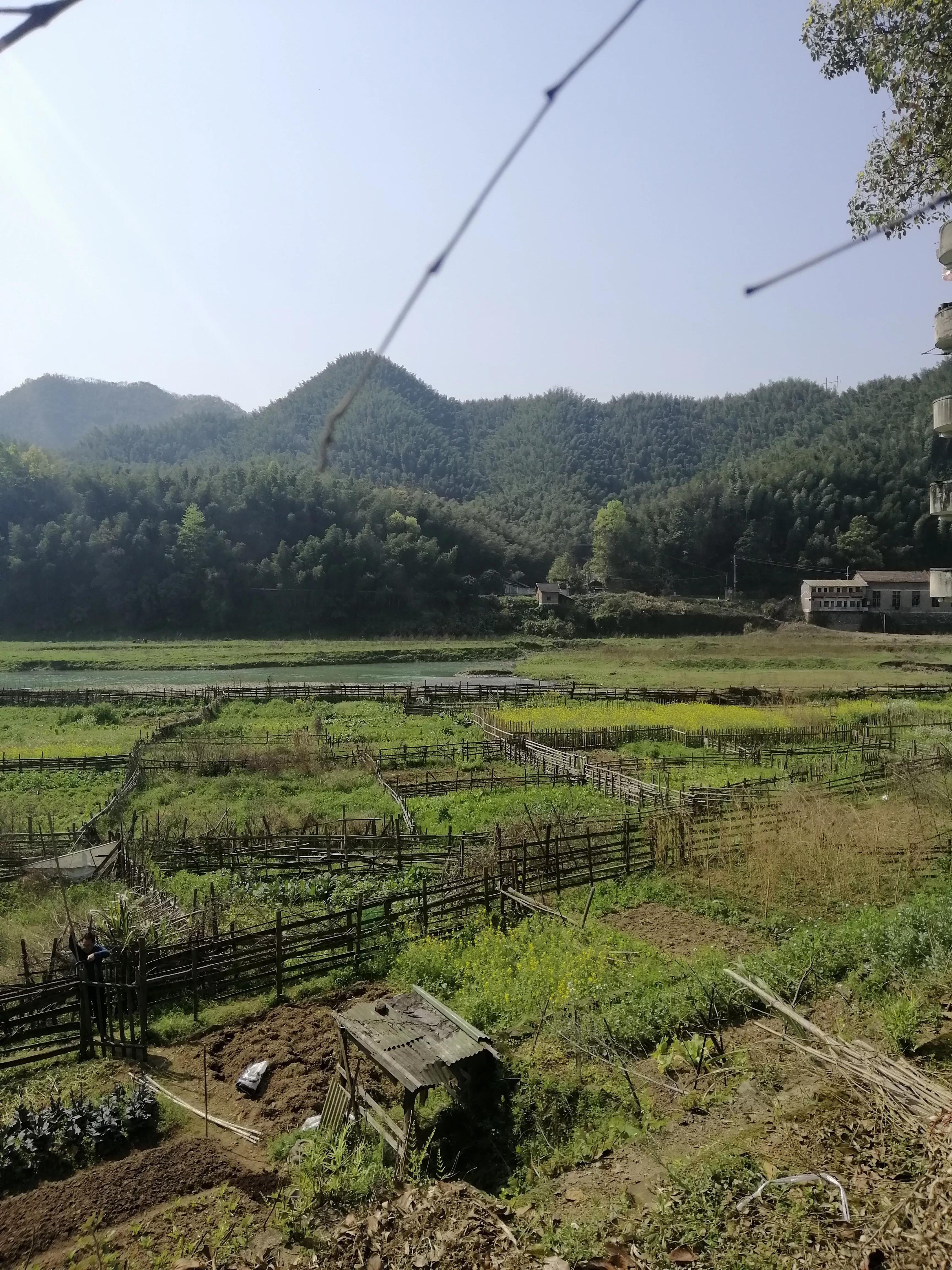 重走矿山路,重走故乡路感言