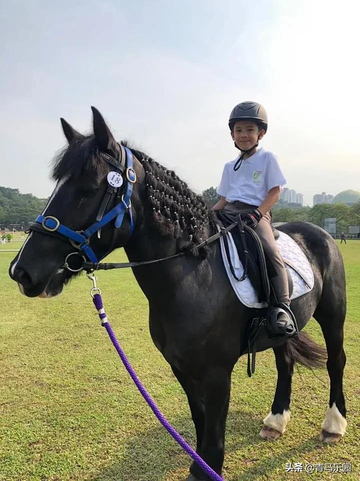 马术对自闭症有好处吗,自闭症马术公益