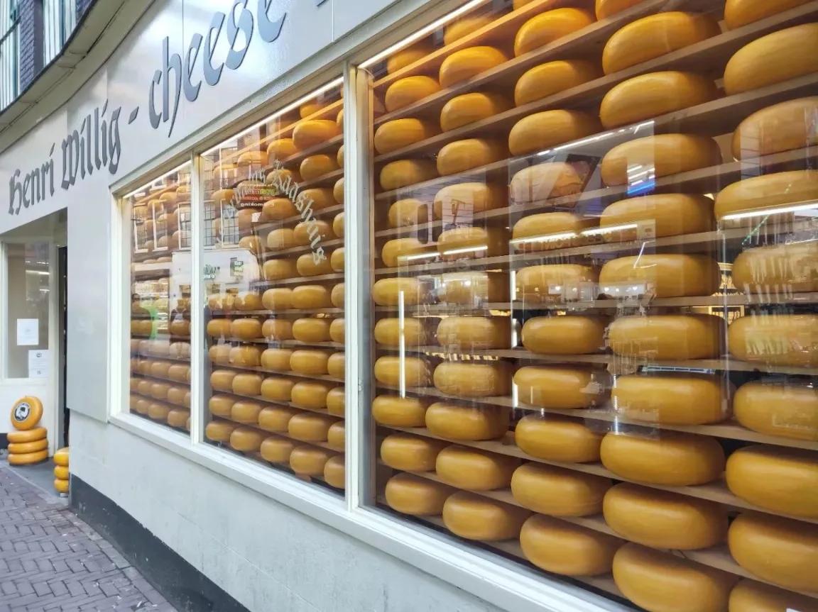 第一天去荷兰旅行,到荷兰的第一天