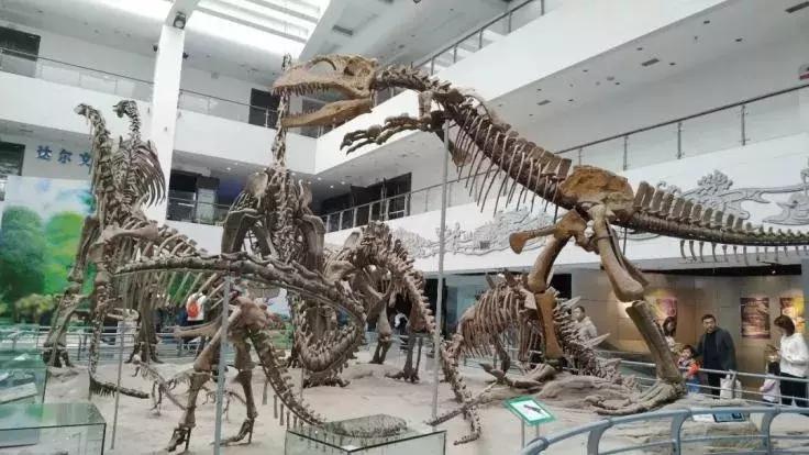 中国地质大学武汉2023招生预估,高考志愿填报武汉哪些大学