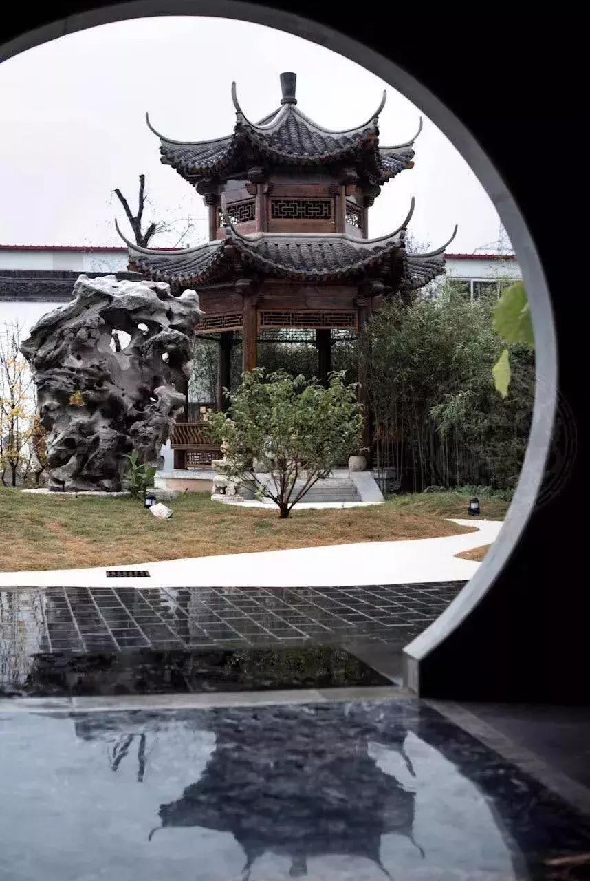 中国黄花梨第一人杨波,杨波成名之路