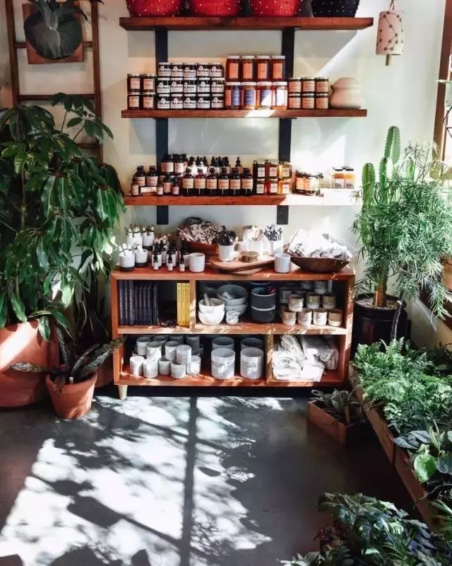 开一家植物美学小店,开一家属于自己的花店