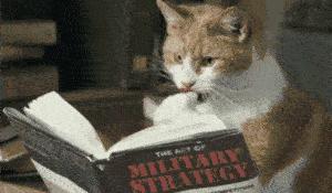 能免费读电子书的网站,可以免费阅读电子书的网站有哪些