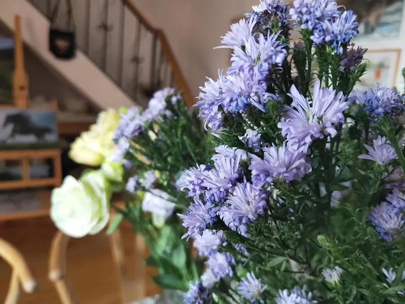 慢族｜她在帝都北京开了一间画室，让自己的生活慢下来了