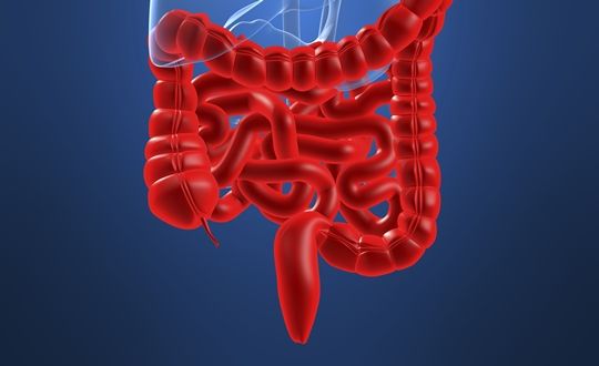 结肠癌术后，哪些人不能做结肠造口灌洗？