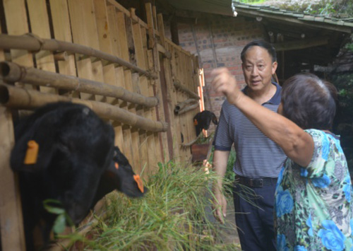 农村致富的10个项目,农村可以赚钱的项目