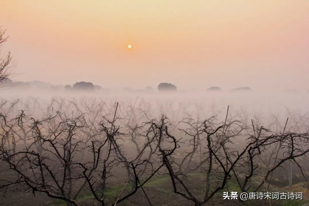 浩浩合元天溶溶迷朗日,浩浩合元天