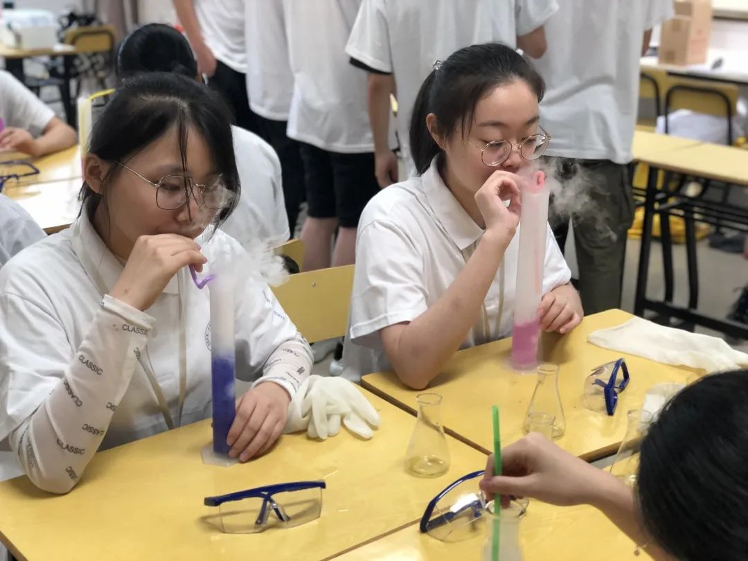 合肥一中蒙特威,合肥一中美国蒙特威高中学费