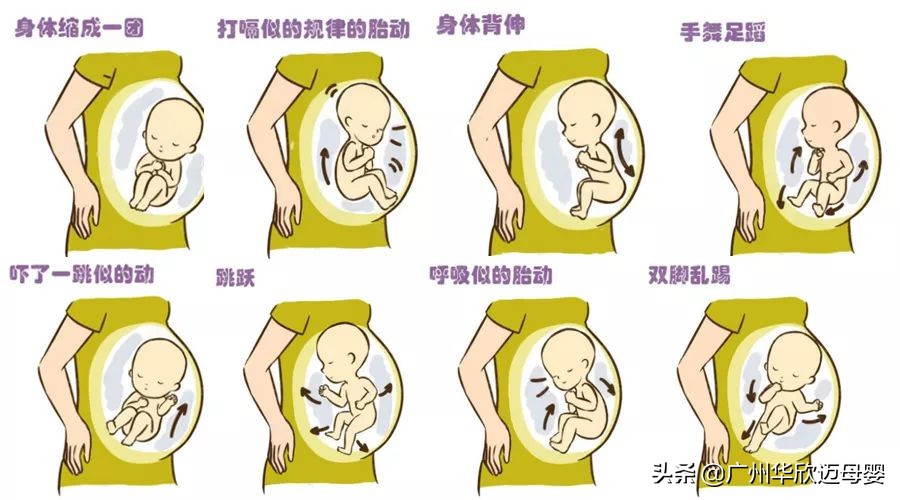 一般怀孕几个月可以感受到胎动,孕妇几个月开始有胎动什么感觉