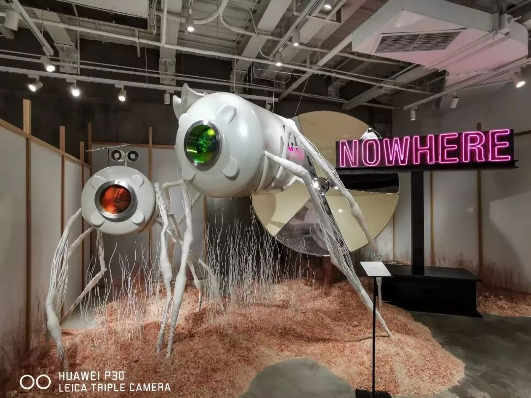 上海魔都最火网红,魔都网红打卡地