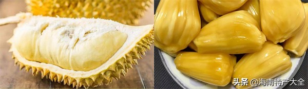 榴莲和菠萝蜜闻起来,榴莲和菠萝蜜的臭有什么区别