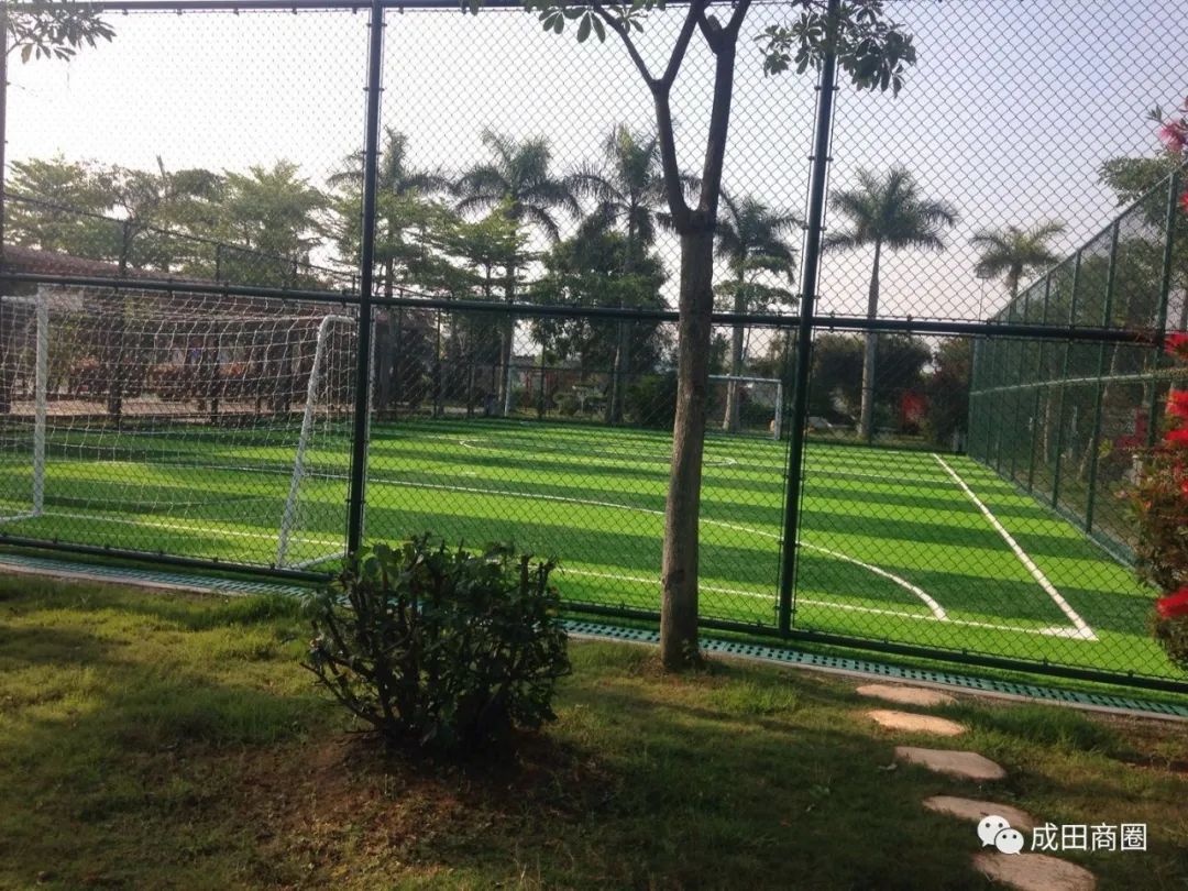成田文体公园国庆,成田镇文体公园